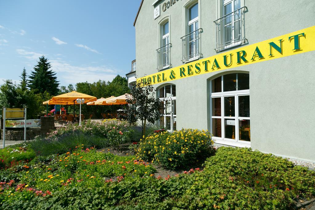 Hotel Goldener Fasan Oranienbaum-Woerlitz Ngoại thất bức ảnh