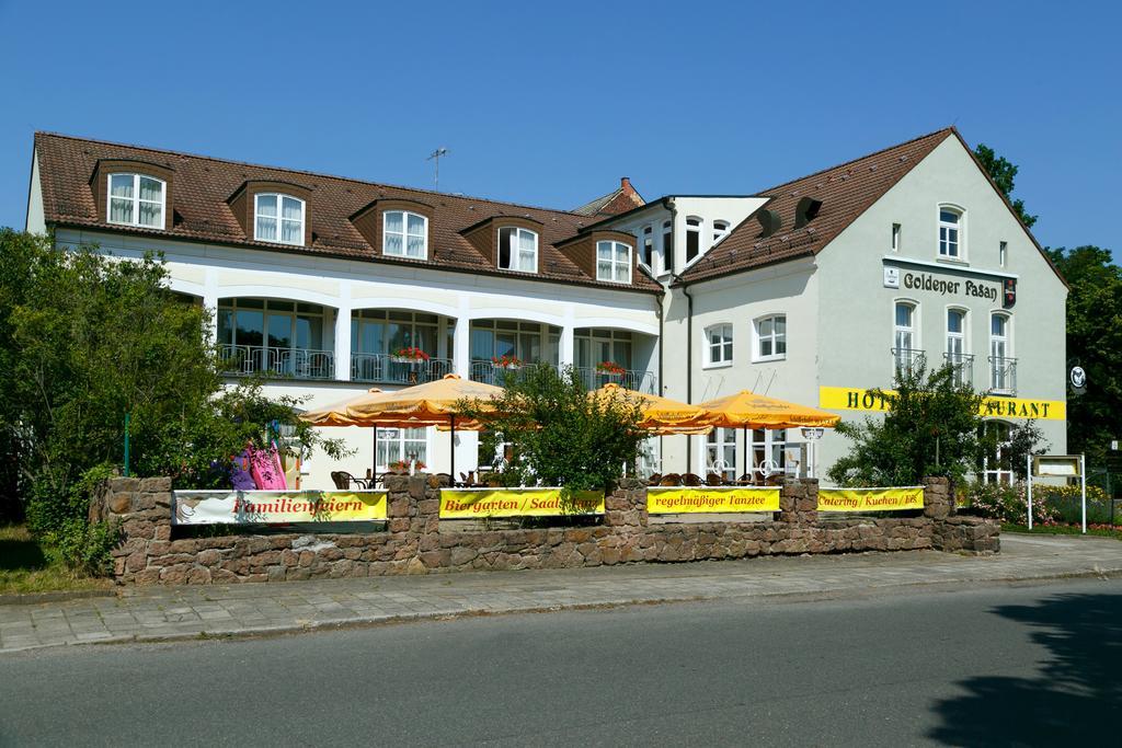 Hotel Goldener Fasan Oranienbaum-Woerlitz Ngoại thất bức ảnh