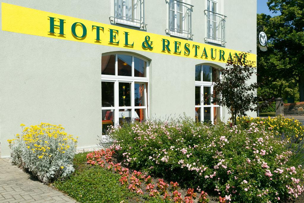Hotel Goldener Fasan Oranienbaum-Woerlitz Ngoại thất bức ảnh