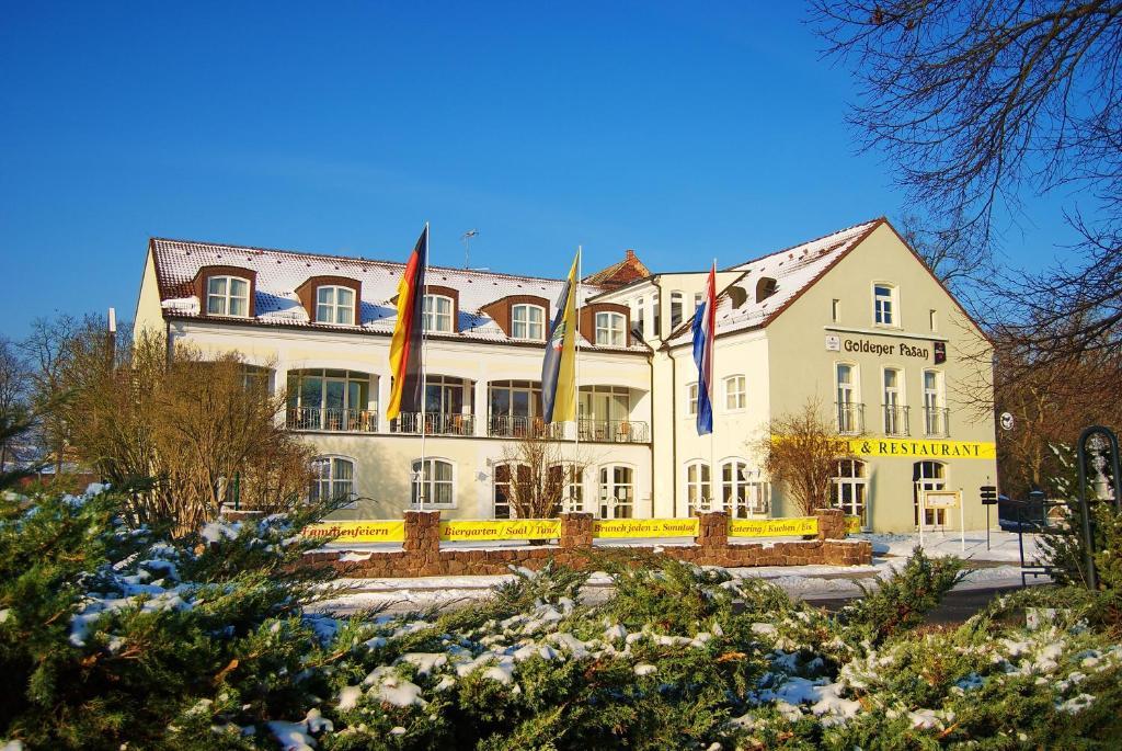 Hotel Goldener Fasan Oranienbaum-Woerlitz Ngoại thất bức ảnh