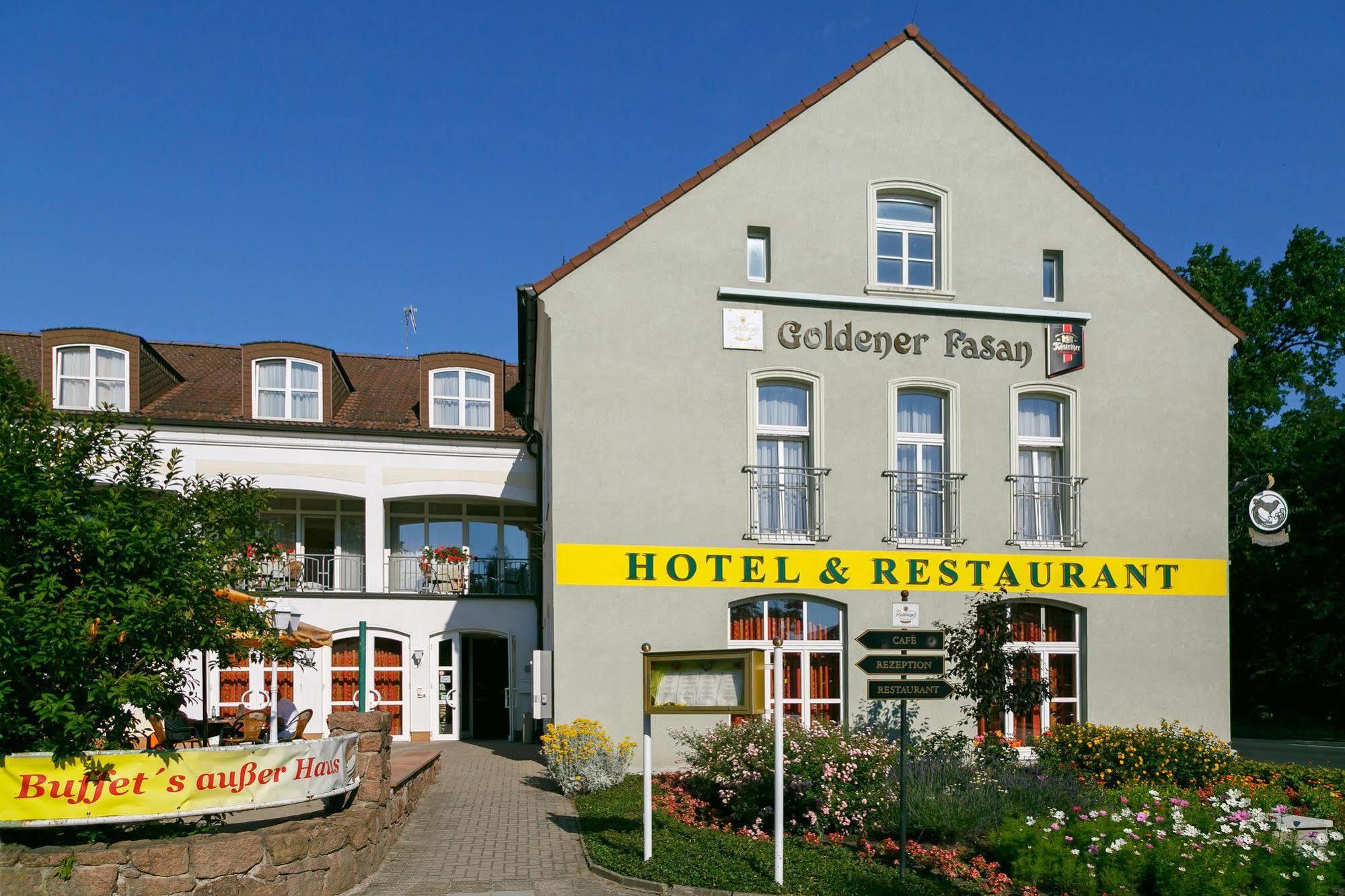 Hotel Goldener Fasan Oranienbaum-Woerlitz Ngoại thất bức ảnh